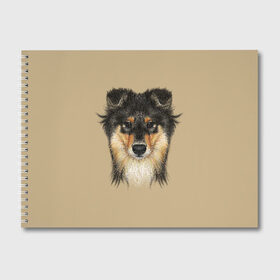 Альбом для рисования с принтом Sheltie в Новосибирске, 100% бумага
 | матовая бумага, плотность 200 мг. | animal | black | breed | brown | cute | dog | drawing | eyes | kind | look | muzzle | portrait | red | взгляд | глаза | добрый | животное | коричневый | милый | пёс | порода | портрет | рисунок | рыжий | собака | черный | шелти