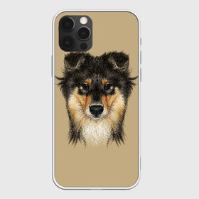 Чехол для iPhone 12 Pro Max с принтом Sheltie в Новосибирске, Силикон |  | animal | black | breed | brown | cute | dog | drawing | eyes | kind | look | muzzle | portrait | red | взгляд | глаза | добрый | животное | коричневый | милый | пёс | порода | портрет | рисунок | рыжий | собака | черный | шелти