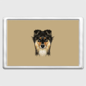 Магнит 45*70 с принтом Sheltie в Новосибирске, Пластик | Размер: 78*52 мм; Размер печати: 70*45 | animal | black | breed | brown | cute | dog | drawing | eyes | kind | look | muzzle | portrait | red | взгляд | глаза | добрый | животное | коричневый | милый | пёс | порода | портрет | рисунок | рыжий | собака | черный | шелти