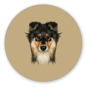 Коврик для мышки круглый с принтом Sheltie в Новосибирске, резина и полиэстер | круглая форма, изображение наносится на всю лицевую часть | animal | black | breed | brown | cute | dog | drawing | eyes | kind | look | muzzle | portrait | red | взгляд | глаза | добрый | животное | коричневый | милый | пёс | порода | портрет | рисунок | рыжий | собака | черный | шелти