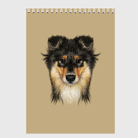 Скетчбук с принтом Sheltie в Новосибирске, 100% бумага
 | 48 листов, плотность листов — 100 г/м2, плотность картонной обложки — 250 г/м2. Листы скреплены сверху удобной пружинной спиралью | animal | black | breed | brown | cute | dog | drawing | eyes | kind | look | muzzle | portrait | red | взгляд | глаза | добрый | животное | коричневый | милый | пёс | порода | портрет | рисунок | рыжий | собака | черный | шелти