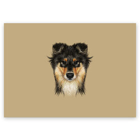Поздравительная открытка с принтом Sheltie в Новосибирске, 100% бумага | плотность бумаги 280 г/м2, матовая, на обратной стороне линовка и место для марки
 | animal | black | breed | brown | cute | dog | drawing | eyes | kind | look | muzzle | portrait | red | взгляд | глаза | добрый | животное | коричневый | милый | пёс | порода | портрет | рисунок | рыжий | собака | черный | шелти