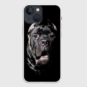 Чехол для iPhone 13 mini с принтом Мастиф в Новосибирске,  |  | animal | black | collar | dog | friend | look | man | muzzle | взгляд | друг | животное | мастиф | ошейник | пёс | собака | человека | черный