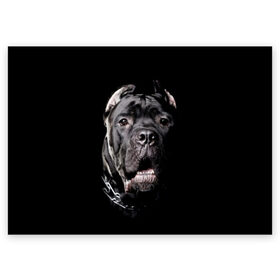 Поздравительная открытка с принтом Мастиф в Новосибирске, 100% бумага | плотность бумаги 280 г/м2, матовая, на обратной стороне линовка и место для марки
 | Тематика изображения на принте: animal | black | collar | dog | friend | look | man | muzzle | взгляд | друг | животное | мастиф | ошейник | пёс | собака | человека | черный