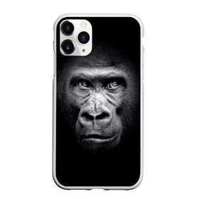 Чехол для iPhone 11 Pro матовый с принтом Горилла в Новосибирске, Силикон |  | animal | black | eyes | fauna | gorilla | gray | look | monkey | muzzle | primate | взгляд | глаза | горилла | животное | обезьяна | примат | серый | фауна | черный