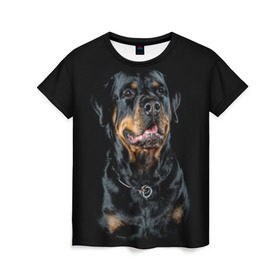 Женская футболка 3D с принтом Ротвейлер в Новосибирске, 100% полиэфир ( синтетическое хлопкоподобное полотно) | прямой крой, круглый вырез горловины, длина до линии бедер | animal | black | breed | collar | dog | friend | glance | gloss | man | muzzle | rottweiler | взгляд | друг | животное | лоск | ошейник | пёс | порода | ротвейлер | собака | человека | черный
