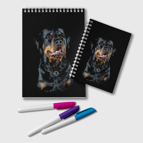 Блокнот с принтом Ротвейлер в Новосибирске, 100% бумага | 48 листов, плотность листов — 60 г/м2, плотность картонной обложки — 250 г/м2. Листы скреплены удобной пружинной спиралью. Цвет линий — светло-серый
 | Тематика изображения на принте: animal | black | breed | collar | dog | friend | glance | gloss | man | muzzle | rottweiler | взгляд | друг | животное | лоск | ошейник | пёс | порода | ротвейлер | собака | человека | черный