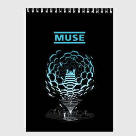 Скетчбук с принтом Muse в Новосибирске, 100% бумага
 | 48 листов, плотность листов — 100 г/м2, плотность картонной обложки — 250 г/м2. Листы скреплены сверху удобной пружинной спиралью | alternative | british | men | muse | music | progressive | rock | rock band | space rock | symphonic | three | trio | uk | альтернативный | британская | великобритания | до | крис уолстенхолм | мужчины | муза | музыка | мэттью беллами