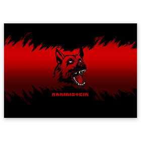 Поздравительная открытка с принтом Rammstein dog в Новосибирске, 100% бумага | плотность бумаги 280 г/м2, матовая, на обратной стороне линовка и место для марки
 | 2019 | dog | du hast | german | lindemann | rammstein | rammsteinfan | ramstein | till | группы | линдеманн | метал | музыка | овчарка | рамштаин | рамштайн | рамштейн | рок | собака | тилль | тиль