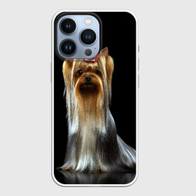 Чехол для iPhone 13 Pro с принтом Йоркширский терьер в Новосибирске,  |  | animal | barrette | breed | cute | dog | funny | muzzle | small | terrier | yorkshire | животное | забавный | заколка | йоркширский | маленький | милый | порода | смешной | собака | терьер