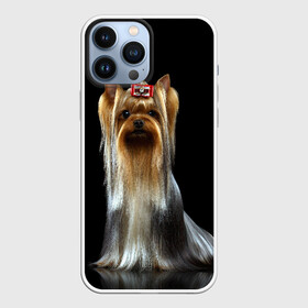 Чехол для iPhone 13 Pro Max с принтом Йоркширский терьер в Новосибирске,  |  | animal | barrette | breed | cute | dog | funny | muzzle | small | terrier | yorkshire | животное | забавный | заколка | йоркширский | маленький | милый | порода | смешной | собака | терьер