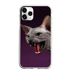 Чехол для iPhone 11 Pro матовый с принтом Сфинкс в Новосибирске, Силикон |  | aggressive | angry | animal | bald | breed | cat | dangerous | fangs | gray | purple | sphinx | агрессивный | животное | злой | клыки | кот | лысый | опасный | порода | серый | сфинкс | фиолетовый