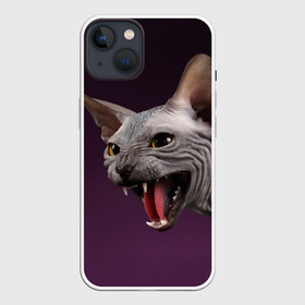 Чехол для iPhone 13 с принтом Сфинкс в Новосибирске,  |  | aggressive | angry | animal | bald | breed | cat | dangerous | fangs | gray | purple | sphinx | агрессивный | животное | злой | клыки | кот | лысый | опасный | порода | серый | сфинкс | фиолетовый