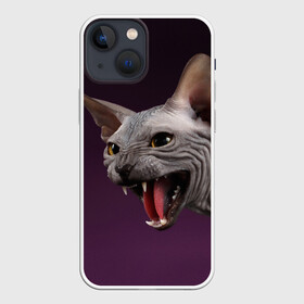 Чехол для iPhone 13 mini с принтом Сфинкс в Новосибирске,  |  | aggressive | angry | animal | bald | breed | cat | dangerous | fangs | gray | purple | sphinx | агрессивный | животное | злой | клыки | кот | лысый | опасный | порода | серый | сфинкс | фиолетовый