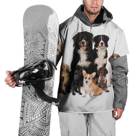 Накидка на куртку 3D с принтом Породистые собаки в Новосибирске, 100% полиэстер |  | Тематика изображения на принте: animal | bernese | breed | bulldog | corgi | cute | dog | french | funny | jack | labrador | mountain dog | muzzle | paws | pug | puppy | spaniel | бернский | бульдог | джек рассел | животное | забавный | зенненхунд | корги | лабрадор | лапы | милый