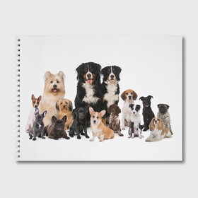 Альбом для рисования с принтом Породистые собаки в Новосибирске, 100% бумага
 | матовая бумага, плотность 200 мг. | animal | bernese | breed | bulldog | corgi | cute | dog | french | funny | jack | labrador | mountain dog | muzzle | paws | pug | puppy | spaniel | бернский | бульдог | джек рассел | животное | забавный | зенненхунд | корги | лабрадор | лапы | милый