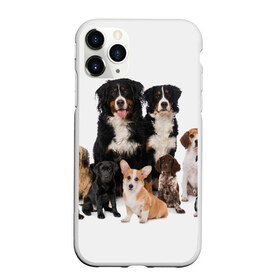 Чехол для iPhone 11 Pro матовый с принтом Породистые собаки в Новосибирске, Силикон |  | animal | bernese | breed | bulldog | corgi | cute | dog | french | funny | jack | labrador | mountain dog | muzzle | paws | pug | puppy | spaniel | бернский | бульдог | джек рассел | животное | забавный | зенненхунд | корги | лабрадор | лапы | милый