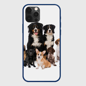 Чехол для iPhone 12 Pro с принтом Породистые собаки в Новосибирске, силикон | область печати: задняя сторона чехла, без боковых панелей | animal | bernese | breed | bulldog | corgi | cute | dog | french | funny | jack | labrador | mountain dog | muzzle | paws | pug | puppy | spaniel | бернский | бульдог | джек рассел | животное | забавный | зенненхунд | корги | лабрадор | лапы | милый