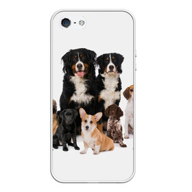 Чехол для iPhone 5/5S матовый с принтом Породистые собаки в Новосибирске, Силикон | Область печати: задняя сторона чехла, без боковых панелей | animal | bernese | breed | bulldog | corgi | cute | dog | french | funny | jack | labrador | mountain dog | muzzle | paws | pug | puppy | spaniel | бернский | бульдог | джек рассел | животное | забавный | зенненхунд | корги | лабрадор | лапы | милый