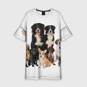 Детское платье 3D с принтом Породистые собаки в Новосибирске, 100% полиэстер | прямой силуэт, чуть расширенный к низу. Круглая горловина, на рукавах — воланы | Тематика изображения на принте: animal | bernese | breed | bulldog | corgi | cute | dog | french | funny | jack | labrador | mountain dog | muzzle | paws | pug | puppy | spaniel | бернский | бульдог | джек рассел | животное | забавный | зенненхунд | корги | лабрадор | лапы | милый