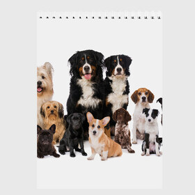 Скетчбук с принтом Породистые собаки в Новосибирске, 100% бумага
 | 48 листов, плотность листов — 100 г/м2, плотность картонной обложки — 250 г/м2. Листы скреплены сверху удобной пружинной спиралью | animal | bernese | breed | bulldog | corgi | cute | dog | french | funny | jack | labrador | mountain dog | muzzle | paws | pug | puppy | spaniel | бернский | бульдог | джек рассел | животное | забавный | зенненхунд | корги | лабрадор | лапы | милый