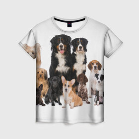 Женская футболка 3D с принтом Породистые собаки в Новосибирске, 100% полиэфир ( синтетическое хлопкоподобное полотно) | прямой крой, круглый вырез горловины, длина до линии бедер | Тематика изображения на принте: animal | bernese | breed | bulldog | corgi | cute | dog | french | funny | jack | labrador | mountain dog | muzzle | paws | pug | puppy | spaniel | бернский | бульдог | джек рассел | животное | забавный | зенненхунд | корги | лабрадор | лапы | милый