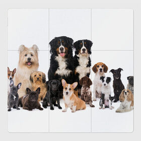 Магнитный плакат 3Х3 с принтом Породистые собаки в Новосибирске, Полимерный материал с магнитным слоем | 9 деталей размером 9*9 см | Тематика изображения на принте: animal | bernese | breed | bulldog | corgi | cute | dog | french | funny | jack | labrador | mountain dog | muzzle | paws | pug | puppy | spaniel | бернский | бульдог | джек рассел | животное | забавный | зенненхунд | корги | лабрадор | лапы | милый