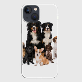 Чехол для iPhone 13 mini с принтом Породистые собаки в Новосибирске,  |  | animal | bernese | breed | bulldog | corgi | cute | dog | french | funny | jack | labrador | mountain dog | muzzle | paws | pug | puppy | spaniel | бернский | бульдог | джек рассел | животное | забавный | зенненхунд | корги | лабрадор | лапы | милый