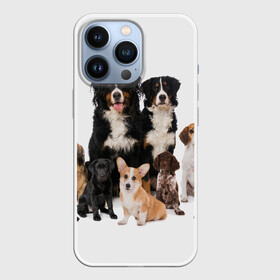 Чехол для iPhone 13 Pro с принтом Породистые собаки в Новосибирске,  |  | animal | bernese | breed | bulldog | corgi | cute | dog | french | funny | jack | labrador | mountain dog | muzzle | paws | pug | puppy | spaniel | бернский | бульдог | джек рассел | животное | забавный | зенненхунд | корги | лабрадор | лапы | милый