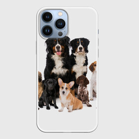 Чехол для iPhone 13 Pro Max с принтом Породистые собаки в Новосибирске,  |  | Тематика изображения на принте: animal | bernese | breed | bulldog | corgi | cute | dog | french | funny | jack | labrador | mountain dog | muzzle | paws | pug | puppy | spaniel | бернский | бульдог | джек рассел | животное | забавный | зенненхунд | корги | лабрадор | лапы | милый