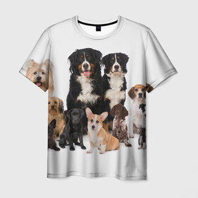 Мужская футболка 3D с принтом Породистые собаки в Новосибирске, 100% полиэфир | прямой крой, круглый вырез горловины, длина до линии бедер | animal | bernese | breed | bulldog | corgi | cute | dog | french | funny | jack | labrador | mountain dog | muzzle | paws | pug | puppy | spaniel | бернский | бульдог | джек рассел | животное | забавный | зенненхунд | корги | лабрадор | лапы | милый