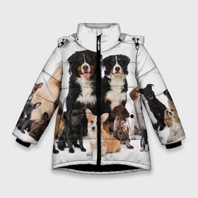 Зимняя куртка для девочек 3D с принтом Породистые собаки в Новосибирске, ткань верха — 100% полиэстер; подклад — 100% полиэстер, утеплитель — 100% полиэстер. | длина ниже бедра, удлиненная спинка, воротник стойка и отстегивающийся капюшон. Есть боковые карманы с листочкой на кнопках, утяжки по низу изделия и внутренний карман на молнии. 

Предусмотрены светоотражающий принт на спинке, радужный светоотражающий элемент на пуллере молнии и на резинке для утяжки. | animal | bernese | breed | bulldog | corgi | cute | dog | french | funny | jack | labrador | mountain dog | muzzle | paws | pug | puppy | spaniel | бернский | бульдог | джек рассел | животное | забавный | зенненхунд | корги | лабрадор | лапы | милый