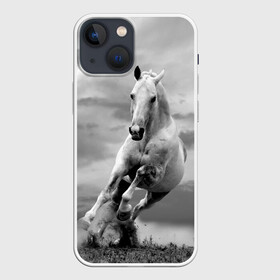 Чехол для iPhone 13 mini с принтом Белая лошадь в Новосибирске,  |  | animal | beautiful | gloss | horse | mane | mustang | muzzle | nature | white | wild | белый | грива | дикий | животное | конь | красивый | лоск | лошадь | мустанг | природа | скакун