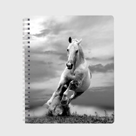 Тетрадь с принтом Белая лошадь в Новосибирске, 100% бумага | 48 листов, плотность листов — 60 г/м2, плотность картонной обложки — 250 г/м2. Листы скреплены сбоку удобной пружинной спиралью. Уголки страниц и обложки скругленные. Цвет линий — светло-серый
 | Тематика изображения на принте: animal | beautiful | gloss | horse | mane | mustang | muzzle | nature | white | wild | белый | грива | дикий | животное | конь | красивый | лоск | лошадь | мустанг | природа | скакун