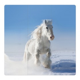 Магнитный плакат 3Х3 с принтом Белый скакун в Новосибирске, Полимерный материал с магнитным слоем | 9 деталей размером 9*9 см | Тематика изображения на принте: animal | beautiful | gloss | horse | mane | mustang | muzzle | nature | snow | white | wild | winter | белый | грива | дикий | животное | зима | конь | красивый | лоск | лошадь | мустанг | природа | скакун | снег