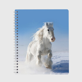 Тетрадь с принтом Белый скакун в Новосибирске, 100% бумага | 48 листов, плотность листов — 60 г/м2, плотность картонной обложки — 250 г/м2. Листы скреплены сбоку удобной пружинной спиралью. Уголки страниц и обложки скругленные. Цвет линий — светло-серый
 | animal | beautiful | gloss | horse | mane | mustang | muzzle | nature | snow | white | wild | winter | белый | грива | дикий | животное | зима | конь | красивый | лоск | лошадь | мустанг | природа | скакун | снег