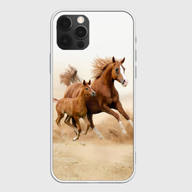 Чехол для iPhone 12 Pro Max с принтом Лошадь с жеребенком в Новосибирске, Силикон |  | Тематика изображения на принте: animal | baby | beautiful | brown | desert | foal | horse | mustang | nature | wild | дикий | жеребенок | животное | конь | коричневый | красивый | лошадь | малыш | мустанг | природа | пустыня | скакун