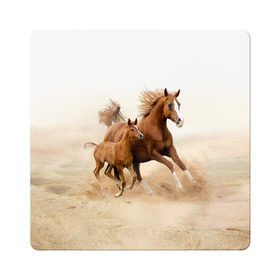 Магнит виниловый Квадрат с принтом Лошадь с жеребенком в Новосибирске, полимерный материал с магнитным слоем | размер 9*9 см, закругленные углы | Тематика изображения на принте: animal | baby | beautiful | brown | desert | foal | horse | mustang | nature | wild | дикий | жеребенок | животное | конь | коричневый | красивый | лошадь | малыш | мустанг | природа | пустыня | скакун