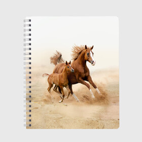 Тетрадь с принтом Лошадь с жеребенком в Новосибирске, 100% бумага | 48 листов, плотность листов — 60 г/м2, плотность картонной обложки — 250 г/м2. Листы скреплены сбоку удобной пружинной спиралью. Уголки страниц и обложки скругленные. Цвет линий — светло-серый
 | Тематика изображения на принте: animal | baby | beautiful | brown | desert | foal | horse | mustang | nature | wild | дикий | жеребенок | животное | конь | коричневый | красивый | лошадь | малыш | мустанг | природа | пустыня | скакун