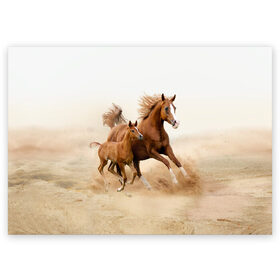 Поздравительная открытка с принтом Лошадь с жеребенком в Новосибирске, 100% бумага | плотность бумаги 280 г/м2, матовая, на обратной стороне линовка и место для марки
 | animal | baby | beautiful | brown | desert | foal | horse | mustang | nature | wild | дикий | жеребенок | животное | конь | коричневый | красивый | лошадь | малыш | мустанг | природа | пустыня | скакун