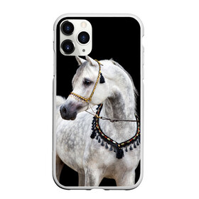 Чехол для iPhone 11 Pro матовый с принтом Серый в яблоках конь в Новосибирске, Силикон |  | animal | beautiful | black | eyes | gloss | gray | harness | horse | in apples | look | muzzle | spotted | white | белый | в яблоках | взгляд | глаза | животное | конь | красивый | лоск | лошадь | пятнистый | сбруя | серый | скакун | черный