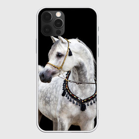 Чехол для iPhone 12 Pro Max с принтом Серый в яблоках конь в Новосибирске, Силикон |  | Тематика изображения на принте: animal | beautiful | black | eyes | gloss | gray | harness | horse | in apples | look | muzzle | spotted | white | белый | в яблоках | взгляд | глаза | животное | конь | красивый | лоск | лошадь | пятнистый | сбруя | серый | скакун | черный