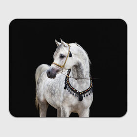 Коврик для мышки прямоугольный с принтом Серый в яблоках конь в Новосибирске, натуральный каучук | размер 230 х 185 мм; запечатка лицевой стороны | animal | beautiful | black | eyes | gloss | gray | harness | horse | in apples | look | muzzle | spotted | white | белый | в яблоках | взгляд | глаза | животное | конь | красивый | лоск | лошадь | пятнистый | сбруя | серый | скакун | черный