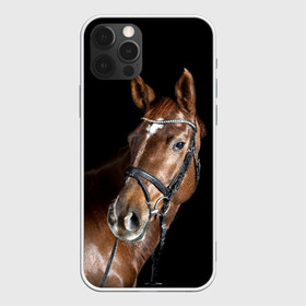 Чехол для iPhone 12 Pro Max с принтом Гнедая лошадь в Новосибирске, Силикон |  | Тематика изображения на принте: animal | beautiful | black | brown | eyes | gloss | horse | look | muscles | muzzle | portrait | взгляд | глаза | гнедая | животное | конь | коричневый | красивый | лоск | лошадь | мускулы | портрет | скакун | черный