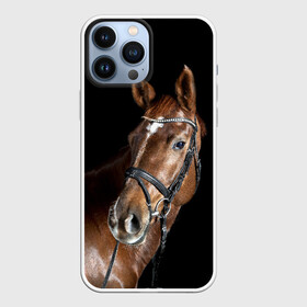 Чехол для iPhone 13 Pro Max с принтом Гнедая лошадь в Новосибирске,  |  | animal | beautiful | black | brown | eyes | gloss | horse | look | muscles | muzzle | portrait | взгляд | глаза | гнедая | животное | конь | коричневый | красивый | лоск | лошадь | мускулы | портрет | скакун | черный