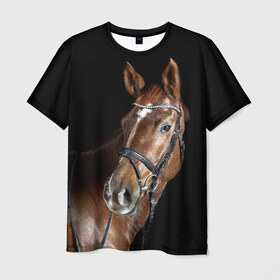 Мужская футболка 3D с принтом Гнедая лошадь в Новосибирске, 100% полиэфир | прямой крой, круглый вырез горловины, длина до линии бедер | animal | beautiful | black | brown | eyes | gloss | horse | look | muscles | muzzle | portrait | взгляд | глаза | гнедая | животное | конь | коричневый | красивый | лоск | лошадь | мускулы | портрет | скакун | черный