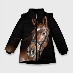 Зимняя куртка для девочек 3D с принтом Гнедая лошадь в Новосибирске, ткань верха — 100% полиэстер; подклад — 100% полиэстер, утеплитель — 100% полиэстер. | длина ниже бедра, удлиненная спинка, воротник стойка и отстегивающийся капюшон. Есть боковые карманы с листочкой на кнопках, утяжки по низу изделия и внутренний карман на молнии. 

Предусмотрены светоотражающий принт на спинке, радужный светоотражающий элемент на пуллере молнии и на резинке для утяжки. | animal | beautiful | black | brown | eyes | gloss | horse | look | muscles | muzzle | portrait | взгляд | глаза | гнедая | животное | конь | коричневый | красивый | лоск | лошадь | мускулы | портрет | скакун | черный