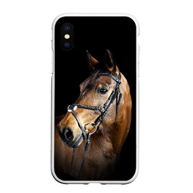 Чехол для iPhone XS Max матовый с принтом Гнедая лошадь в Новосибирске, Силикон | Область печати: задняя сторона чехла, без боковых панелей | animal | beautiful | black | brown | eyes | gloss | harness | horse | look | muzzle | взгляд | глаза | гнедая | гнедой | животное | конь | коричневый | красивый | лоск | лошадь | сбруя | скакун | черный