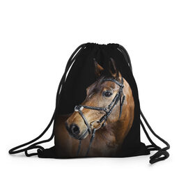 Рюкзак-мешок 3D с принтом Гнедая лошадь в Новосибирске, 100% полиэстер | плотность ткани — 200 г/м2, размер — 35 х 45 см; лямки — толстые шнурки, застежка на шнуровке, без карманов и подкладки | animal | beautiful | black | brown | eyes | gloss | harness | horse | look | muzzle | взгляд | глаза | гнедая | гнедой | животное | конь | коричневый | красивый | лоск | лошадь | сбруя | скакун | черный