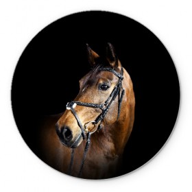Коврик для мышки круглый с принтом Гнедая лошадь в Новосибирске, резина и полиэстер | круглая форма, изображение наносится на всю лицевую часть | animal | beautiful | black | brown | eyes | gloss | harness | horse | look | muzzle | взгляд | глаза | гнедая | гнедой | животное | конь | коричневый | красивый | лоск | лошадь | сбруя | скакун | черный